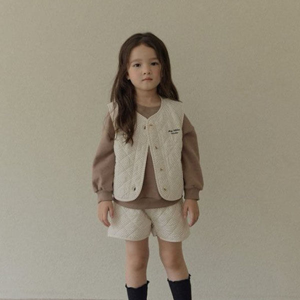 Hidden Quilting Vest